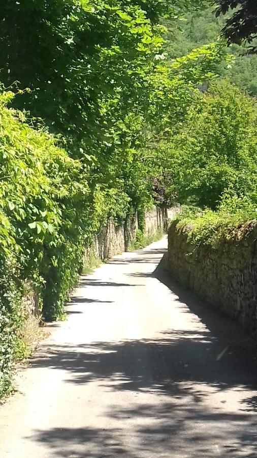 Gite 4 Personnes Au Calme Et Tout Confort Saint-Vallier  Buitenkant foto